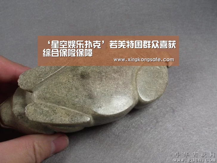 ‘星空娱乐扑克’若羌特困群众喜获综合保险保障(图1)