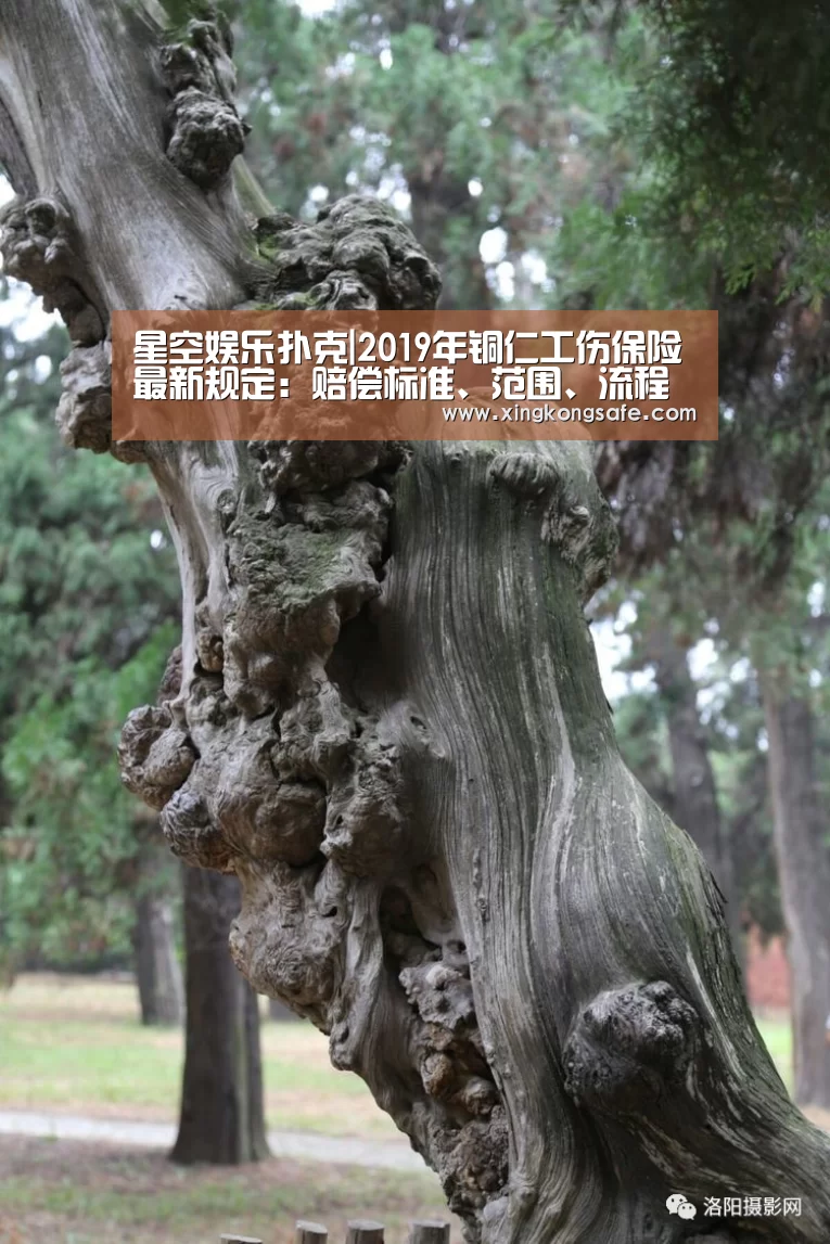 星空娱乐扑克|2019年铜仁工伤保险最新规定:赔偿标准、范围、流程官方!(图3) 星空娱乐