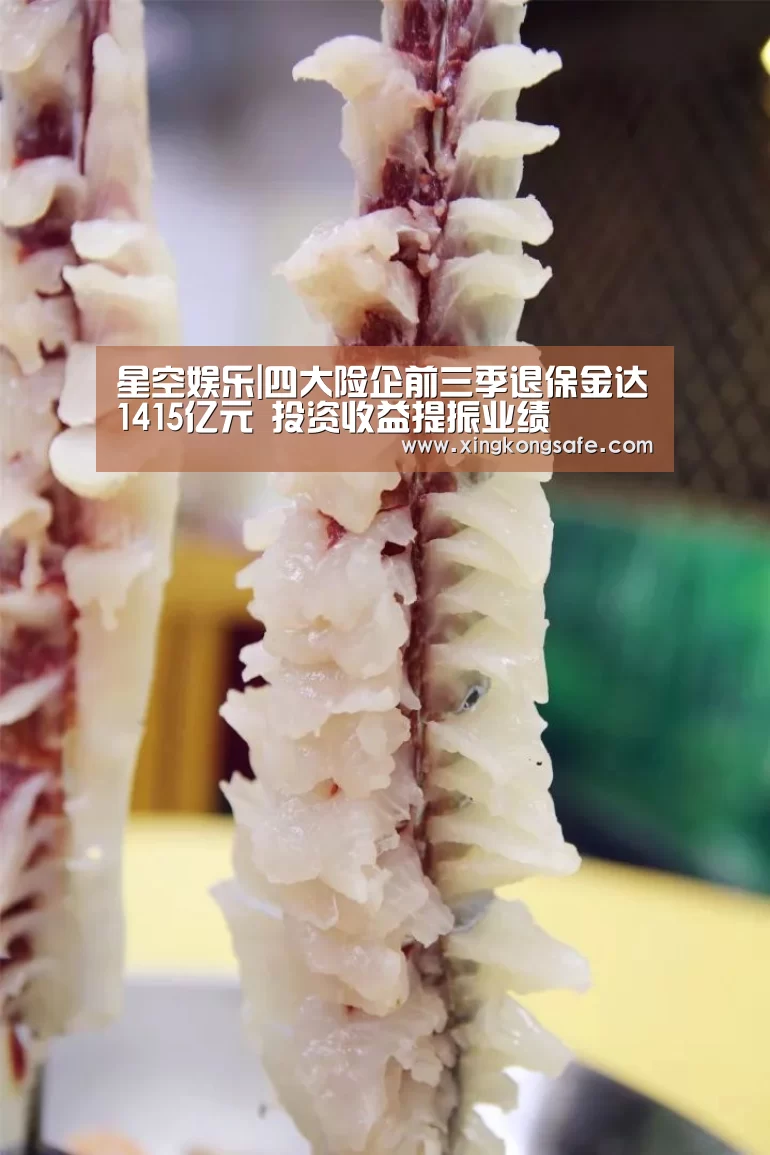 星空娱乐|四大险企前三季退保金达1415亿元 投资收益提振业绩(图3)