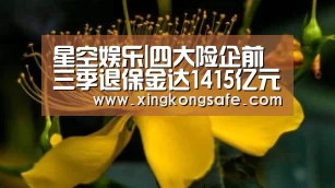 星空娱乐官方下载