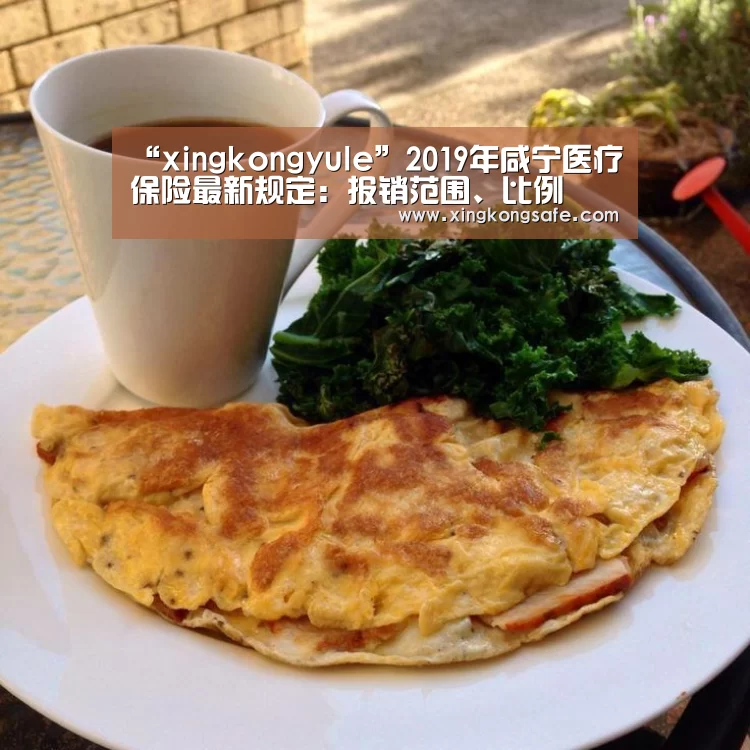 星空娱乐官方下载